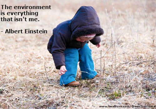 The environment is everything