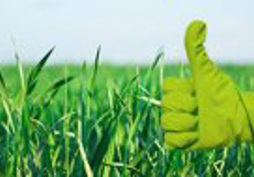 Green cleaning