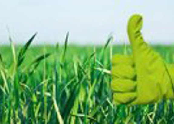 Green cleaning