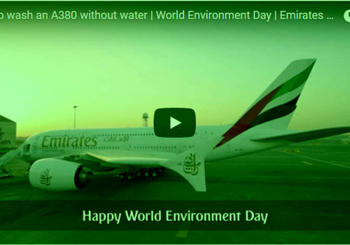 WashFlightGreen.jpg
