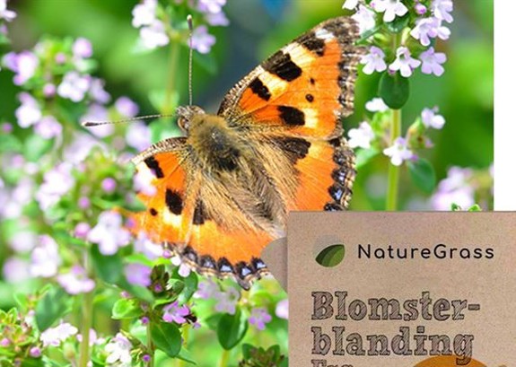 Blomsterblanding-froe.jpg.jpg