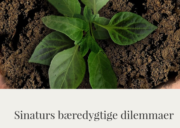 Sinatursbæredygtigedilemmaer